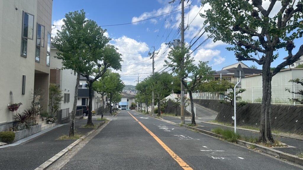 街路樹が並ぶ坂道の写真